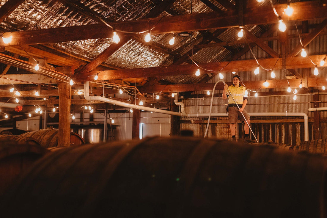 Why is my barrel losing so much wine? The angel's share explained