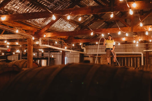 Why is my barrel losing so much wine? The angel's share explained
