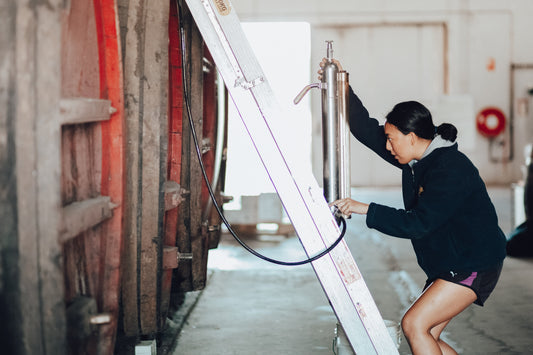 Sulphur Dioxide vs Potassium Metabisulfite